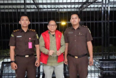 Profil Choirul Anwar Direktur Utama KBS, Terjerat Korupsi Pakan Hewan Higga Rp10,2 Miliar!