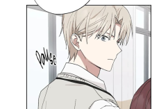 Leia de Manhwa BL Please Pay Attention to Me Capítulo 9 Scan BR, Dois pombinhos apaixonados
