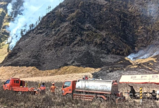 Kahutla Gunung Bromo Meluas Hingga 176 Hektar, Objek Wisata Kini Ditutup Total