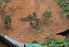 Video Detik-Detik Tambang Emas Marisa Gorontalo Longsor, 5 Korban Dinyatakan Tewas di Lokasi Kejadian