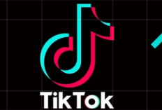 Resiko Telat Bayar Tiktok Paylater, Benarkah DC Lapangan Akan Datang? Ternyata Ini Dia Fakta Sebenarnya!