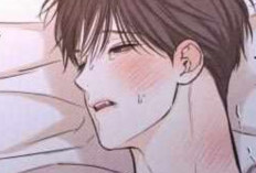 Lecture En Ligne Manhwa BL Full Time Freelancer Chapitre 25 Scan VF FR, Toujours En Hiatus Jusqu'au 5 Décembre 2024