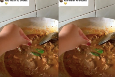 Viral Video Tiktok Masak Daging Pakai Paracetamol Biar Daging Empuk, Begini Penjelasan Dokter dan Ahli Gizi!