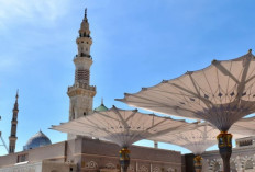 Waspada! Sapa Madinah Penipuan atau Bukan? Calon jemaah Wajib Tau Fakta Ini!