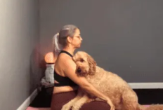 Enlance ver Increíble video de mujer y perro en Viva la Alegría Se Hizo Viral, video privado de onlyfans que se difunde