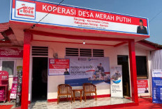 Open Recruitment! Loker Koperasi Desa Merah Putih 2026 Buka Posisi Untuk Manajer Cek di Sini Cara Daftar dan Syaratnya!