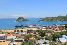 Bakal Dimekarkan Jadi Provinsi Pulau Sumbawa 76.64% Luas Wilayah Provinsi NTB Hilang Demi Pemekaran 