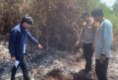Selidiki 96 Laporan Kasus Karhutla Korporasi yang Terbakar, Polisi Tetapkan 196 Orang Menjadi Tersangka