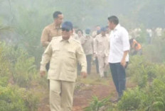 Prabowo Turun Langsung ke Kalimantan, Tinjau dan Pimpin Penanganan Karhutla