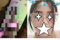 Link Video Live Elga Puruk Cahu Full Bug*l Tanpa Sensor Viral, Banyak Dicari Bikin Heboh di TikTok!