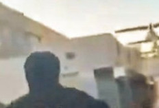 Vidéo virale d'Yanis Nimes Les Exécutions Impitoyables Sont Diffusées En Intégralité Et Sans Coupure