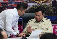 Prabowo Minta 'Ubi Bombing' Digalakkan, Dorong Produksi Tepung Skala Besar!