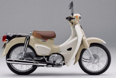 Motor Mungil Honda Little Cub 50cc, Segera Meluncur di Indonesia, Harganya Bikin Kaget!