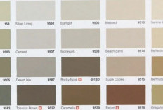 Kombinasi Warna Cat Dinding Vinilex Cream yang Bikin Hunian Jadi Makin Asri, Simak Daftar Katalognya Disini!