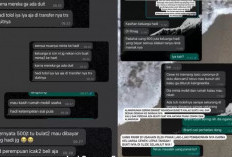 TERBONGKAR! Isi Chat Shintia Indah Permatasari dan Hadi Zulkarnain Tersebar di Sosial Media, Sering Ancam Bunuh Diri