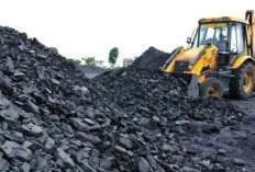 Terbongkar! Ini Penyebab Mati Listrik di Jawa, PLN Ungkap Langsung Faktanya yang Bikin Geger 