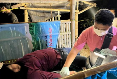 Penyebab Meninggalnya Noveria Sepadya Syahputri, Wanita yang Tewas di Gubuk Pantai Cemara Tuban Kini Masih Tanda Tanya