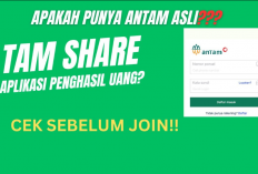 M Tam Share Com Login Penghasil Uang Apakah Penipuan? Cek Disini! Begini Ulasan dari Penggunanya