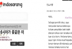 Apa Itu Indosarang yang Lagi Viral? Forum Orang Korea yang Ramai Diserbu Netizen Karena Rasis ke Orang Indonesia