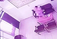 Miris! Viral Video Oknum Kepsek dan Guru SD di Pekalongan Nekad Berbuat Tak Senonoh, Ternyata Sudah Lama Jalani Hubungan Gelap