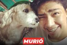 Murió Curly: Muere el Perro Favorito del YouTuber Fernanfloo y sus Fans lo Lloran