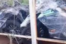 Viral Penampakan Motor Badan Gizi Nasional (BGN): Kendaraan Operasional Khusus Pendistribusian Makan Bergizi Gratis