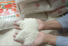 Harga Beras Naik Imbas dari El Nino, Beras Grosir dan Eceran Ikut Melonjak!