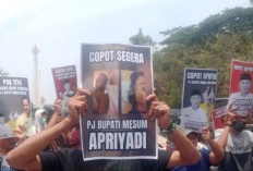 Video Skandal Perselingkuhan Sekda Muba Apriyadi Viral di TikTok, Jadi Buruan Hingga Dapat Kecaman Netizen!