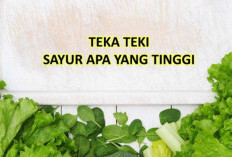 Tebakan TTS: Sayur Apa yang Tinggi? Cek Disini Jawaban Lengkapnya yang Bikin Kocak!