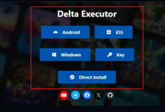 Panduan Lengkap Delta Executor Begini Caranya, Gampang Banget Cuma Perlu Setting 1 Menit! 