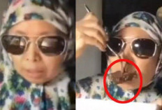  Viral Tiktoker Dewi Bulan Makan Daging Babi dengan Baca Bismillah, Menimbulkan Keresahan Masyarakat