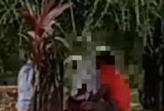 Geger Video Viral 14 Detik Tindakan Asusila di Taman Banjarsari Solo, Satpol PP Akui Kecolongan
