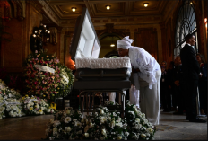 Vídeo Em Homenagem a Preta Gil Viraliza Nas Redes Sociais, Celebridades Comentam O Assunto