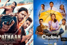 Cara Nonton, Download dan Streaming Film India Gratis Tanpa Kuota Internet : Gunakan Aplikasi Berikut!