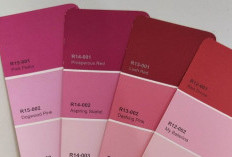 Rincian Katalog Cat Avitex Nuansa Pink Berikut Harga Terbarunya di Jayapura, Cek Beragam Variannya yang Cantik di Sini 