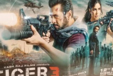 Nonton Film Tiger 3 (2023) Full Movie Sub Indo, Aksi Salman Khan dan Katrina Kaif Bikin Penonton Melongo!