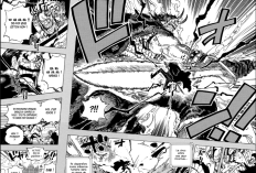 Lien RAW et Spoilers le One Piece Chapitre 1156 en Français, Les pirates Rocks approchent Hachinosu
