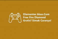 Cara Mendapatkan Diamond FF di Diamantes Blass. Com Terbaru 2024, Klaim Sekarang dan Mainkan Gamenya!