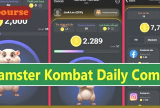 Hamster Kombat Daily Combo Minggu 16 Juni 2024, Dapatkan Sekarang! Ada 5 Juta Koin Menantimu