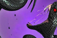 Spoiler Manhwa Wind Breaker Chapter 529 English Sub Free, Lee Junsu Becomes Supply Line With Jay In Front Position!