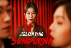 Nonton Drama Jebakan Yang Sempurna Full Episode Subtitle Indonesia, Perjuangan Cinta Penuh Emosi