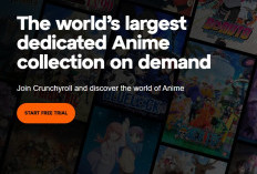 Mauvais ! Crunchyroll Perd un Certain Nombre D'animes Populaires, Grimgar et Orange Ne Sont Plus Disponibles