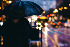 7 Video Bokeh Effect App yang Paling Direkomendasikan Untuk Android dan iOS, Buat Foto dan Videomu Aesthetic