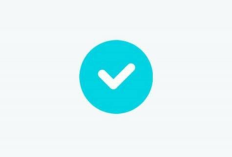 Centang Biru di TikTok: Simbol Keaslian dan Pengaruh Digital, Begini Cara Mendapatkannya dengan Mudah!