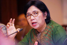 Sosok Destry Damayanti, Ekonom Senior yang Ditunjuk Jadi Gubernur BI Sementara Ternyata Track Recordnya Nggak Main-Main