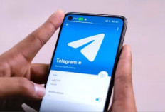 Lien Vidéo Fuite Ficha Telegram Rejoignez La Chaîne Dès Maintenant Pour Voir Avant D'être Banni