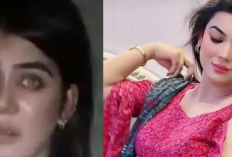 Video Viral Dolphin Ayan Trending di X Streaming Free Download, Skandal Konten Seksual Kreator Luar Negeri Asal Pakistan
