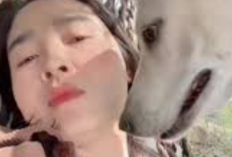 FULL! Enlace de Vídeo Viral de Mujer y Perro HD 1080p, Se puede Descargar Directamente a Través de Telegram y Doodstream