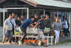 Kabar Duka! 3 Staf Badan Pangan Kabupaten Jayawijaya Ditembak KKB di Papua Pegunungan Saat Sedang Mendistribusikan Bantuan Ternak