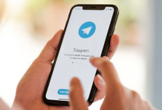 Kumpulan Link Channel Telegram Viral SMP Pemersatu Bangsa 2025, Dapatkan Rekaman Video Terkini Gratis Tanpa Cut dan Edit